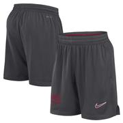 Alabama Nike Dri-fit Sideline Mesh Shorts